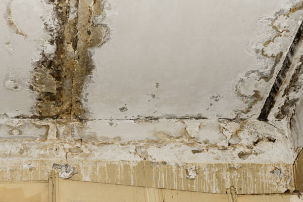 Sewage cleanup and water damage restoration